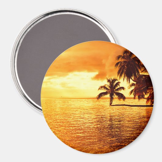 Aimant rond horizontal couchant de palmier (Recto/Verso)