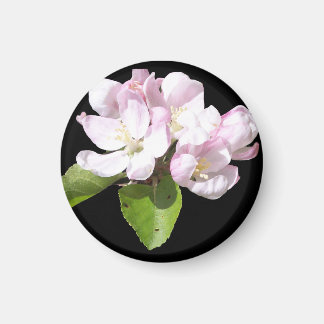 Aimant rond pour réfrigérateur Fleur de pommier de
