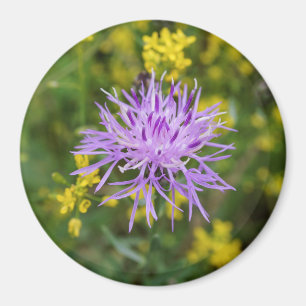 Aimant rond repéré de fleur sauvage pourpre de