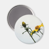 Aimant rond simple Fleurs Jaunes (Recto/Verso)