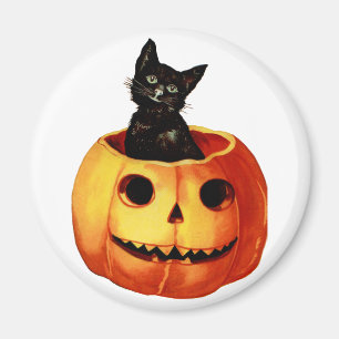 Aimant rond vintage de chat noir et de citrouille