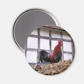 AIMANT ROOSTER (Recto/Verso)