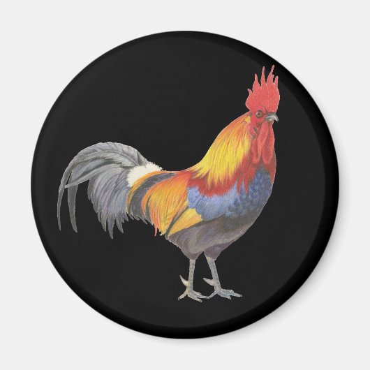 Aimant Rooster (Devant)