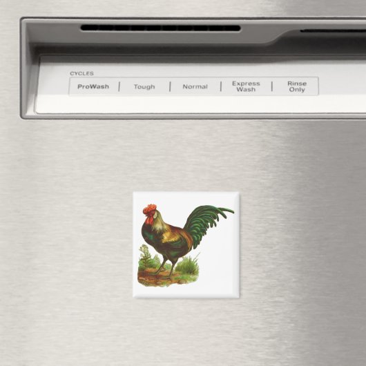 Aimant Rooster (In Situ (Lave-vaisselle))
