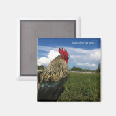 Aimant Rooster Bob Quelque part (Recto/Verso)