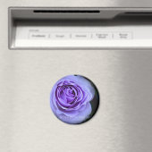 Aimant Rosa Blue Bajou (In Situ (Lave-vaisselle))