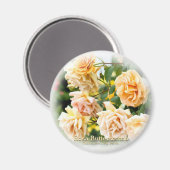 Aimant Rosa Butterscotch (Recto/Verso)