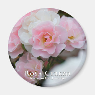 Aimant Rosa Cerezo マ グ