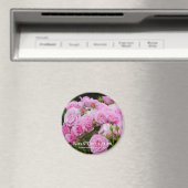 Aimant Rosa Cotillion (In Situ (Lave-vaisselle))