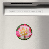 Aimant Rosa Double Delight (In Situ (Lave-vaisselle))