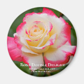 Aimant Rosa Double Delight (Devant)