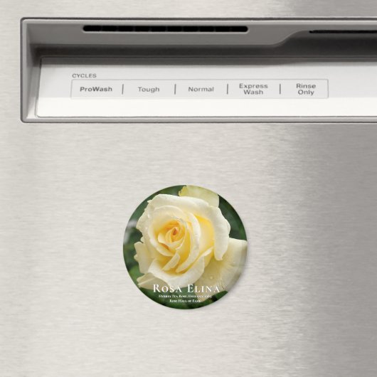 Aimant Rosa Elina (In Situ (Lave-vaisselle))