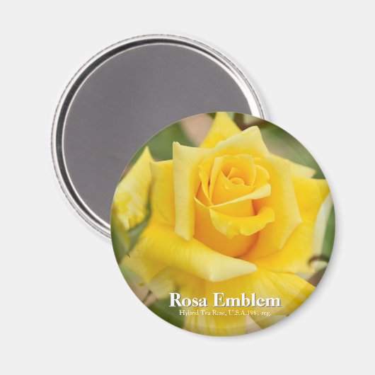 Aimant Rosa Emblem (Recto/Verso)