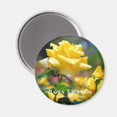 Aimant Rosa Emblem (Recto/Verso)