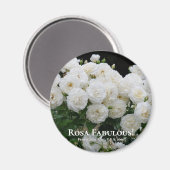 Aimant Rosa Fabulous ! (Recto/Verso)