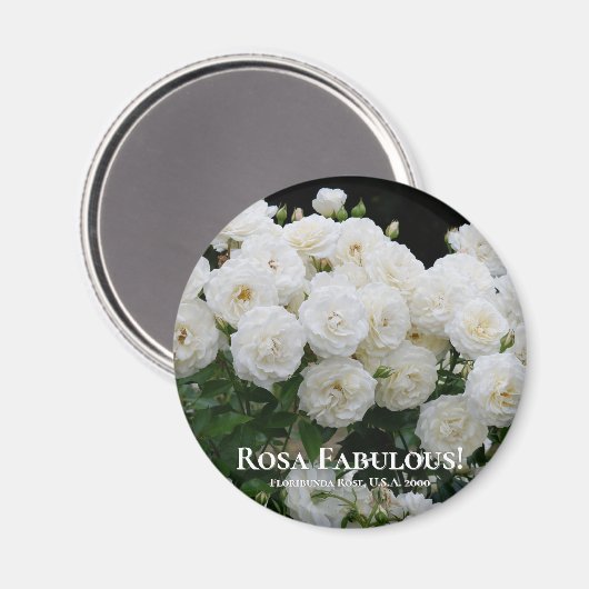 Aimant Rosa Fabulous ! (Recto/Verso)