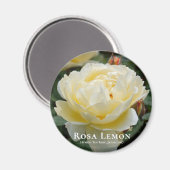 Aimant Rosa Lemon (Recto/Verso)