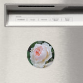 Aimant Rosa "L'hiver" (In Situ (Lave-vaisselle))