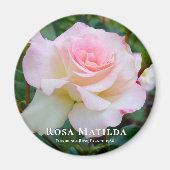 Aimant Rosa Matilda (Devant)