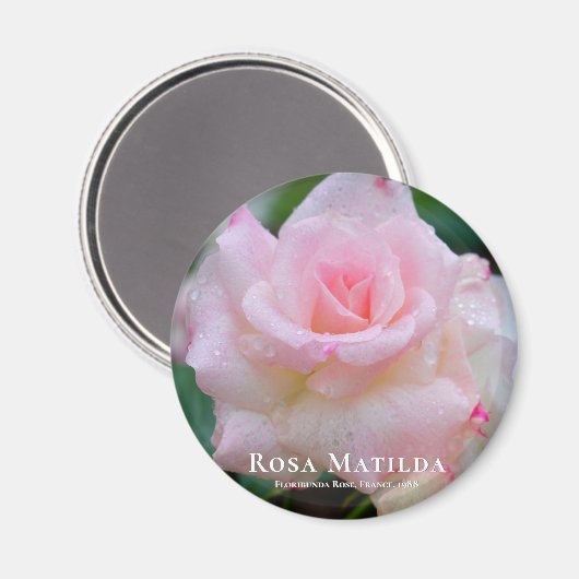 Aimant Rosa Matilda (Recto/Verso)