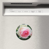 Aimant Rosa Pierre de Ronsard (In Situ (Lave-vaisselle))