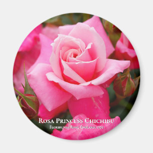 Aimant Rosa Princess Chichibu マ グ
