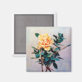 Aimant Rosa/Rose (Recto/Verso)