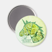 Aimant Rosa Ryokko (Recto/Verso)