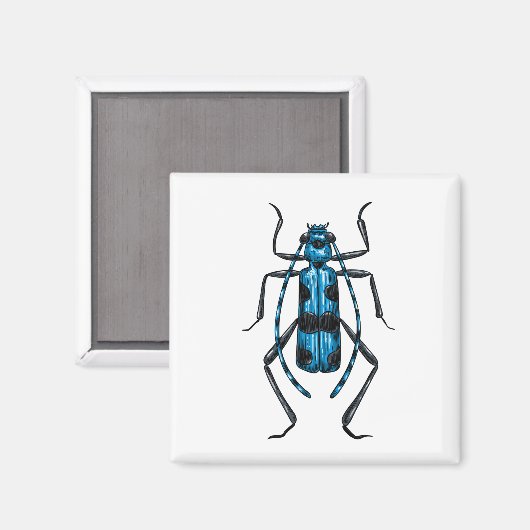 Aimant Rosalia Alpina (Recto/Verso)