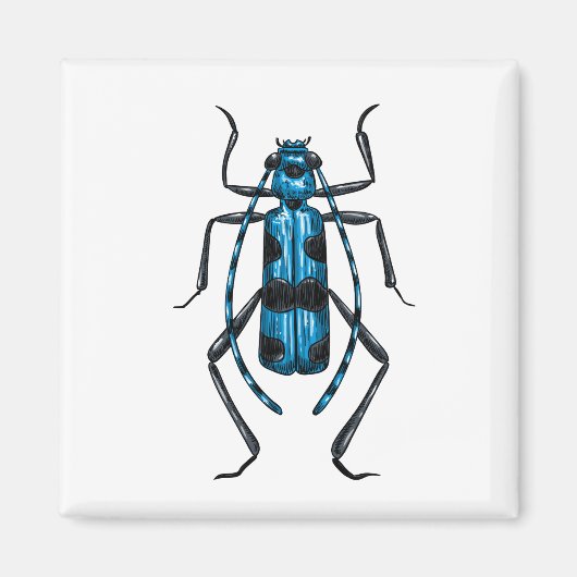 Aimant Rosalia Alpina (Devant)