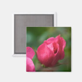 Aimant Rose (Recto/Verso)