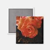 Aimant Rose (Recto/Verso)