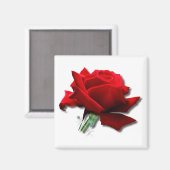 Aimant Rose (Recto/Verso)