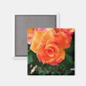 Aimant Rose (Recto/Verso)