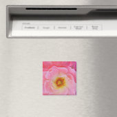 Aimant rose (In Situ (Lave-vaisselle))