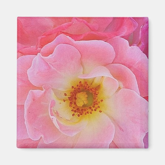 Aimant rose (Devant)
