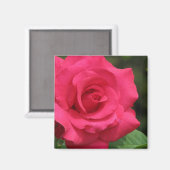 Aimant Rose (Recto/Verso)