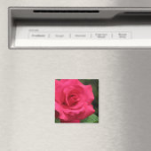 Aimant Rose (In Situ (Lave-vaisselle))