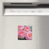 Aimant Rose (In Situ (Lave-vaisselle))