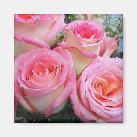 Aimant Rose (Devant)