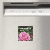 Aimant rose (In Situ (Lave-vaisselle))