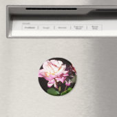 Aimant Rose (In Situ (Lave-vaisselle))