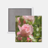 Aimant rose (Recto/Verso)