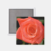 Aimant Rose (Recto/Verso)