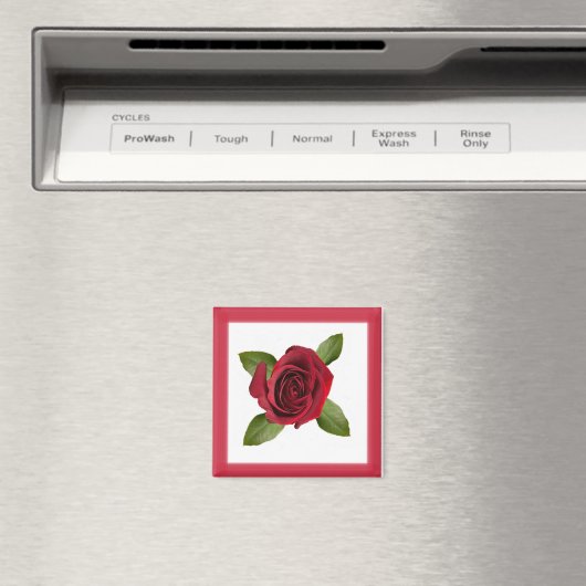 Aimant Rose (In Situ (Lave-vaisselle))