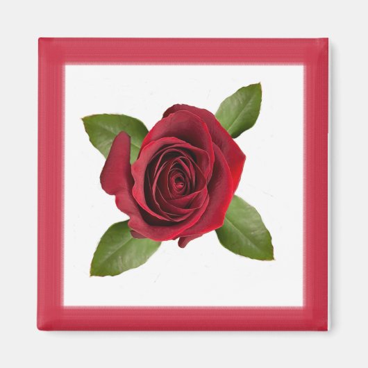 Aimant Rose (Devant)