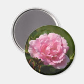 Aimant rose (Recto/Verso)
