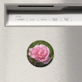Aimant rose (In Situ (Lave-vaisselle))