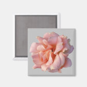 Aimant rose (Recto/Verso)