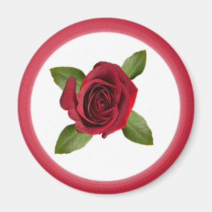 Aimant Rose